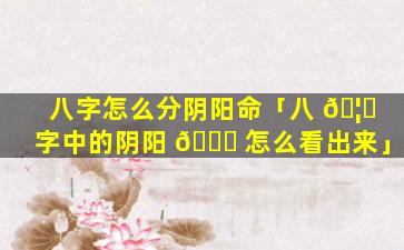 八字怎么分阴阳命「八 🦍 字中的阴阳 🐝 怎么看出来」